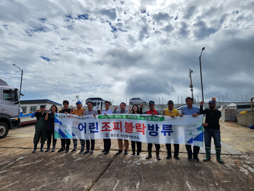 옹진군, 수산자원 회복 위해 '어린 조피볼락 약 30만 마리' 방류