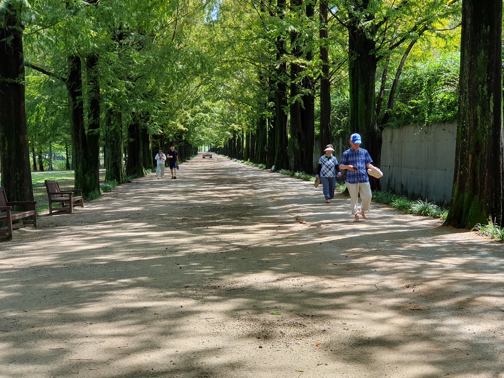 담양군, 흙길에서 건강을 걸어요
