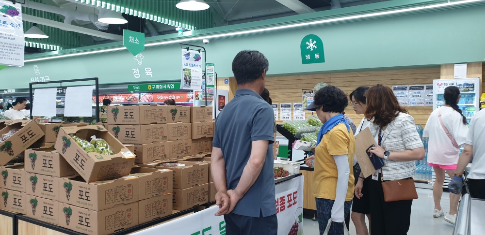 구미시, '유럽종포도 6개 품종' 판매 실시