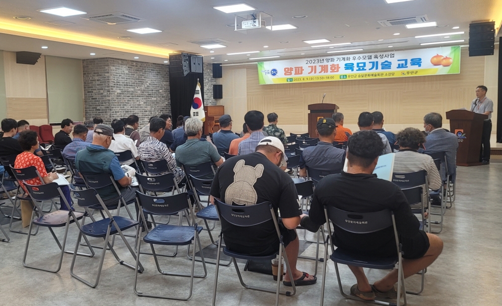 무안군, 양파 기계화 확대 적극 추진