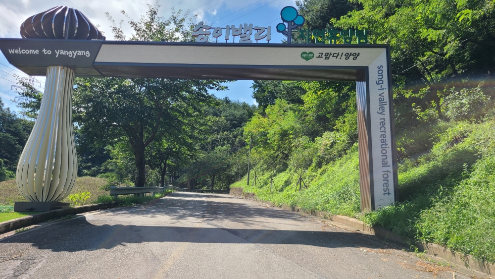 양양군, '엑스포 로드 경관조성' 완료