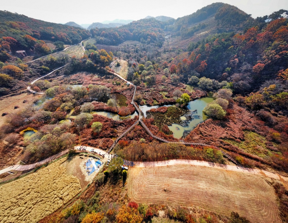 문경시, 환경부 '람사르습지도시 공모' 최종후보지 선정
