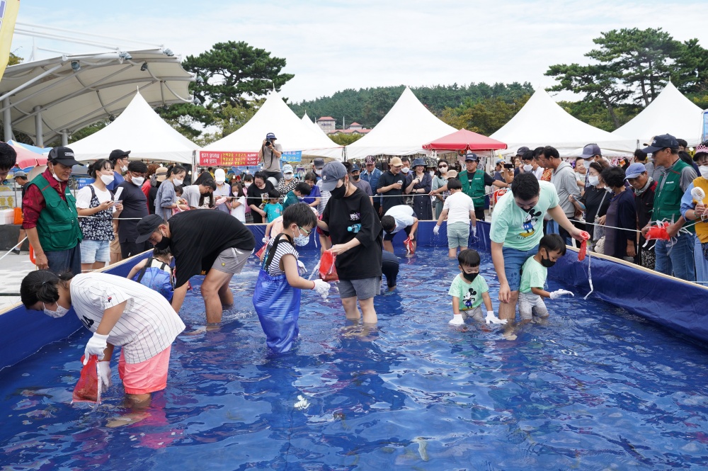 보령시, '2023 무창포 가을 대하・전어 축제' 개최