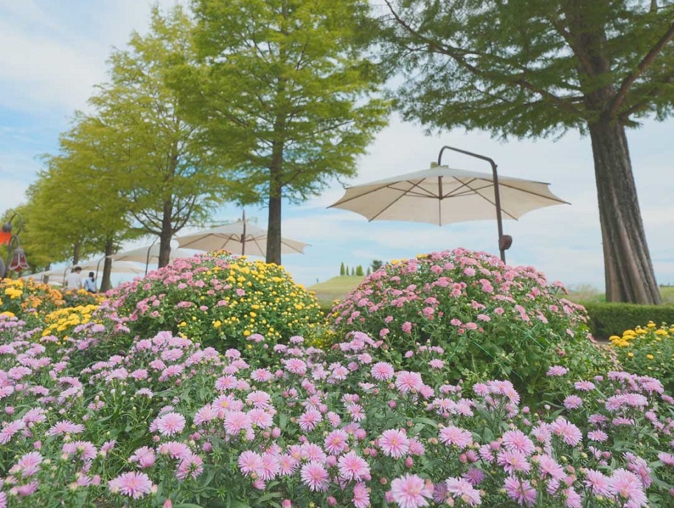 순천정원박람회에서 가을을 느껴요
