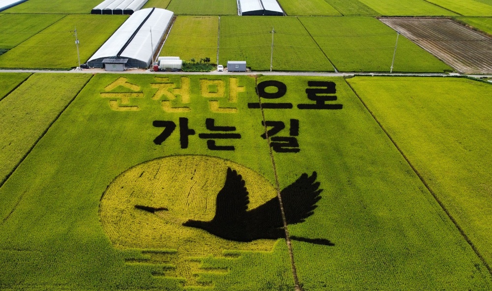 순천시, ‘뜰 아트’ 작품성과 스토리텔링화로 순천만 들녘의 ‘가을’을 접수하다!