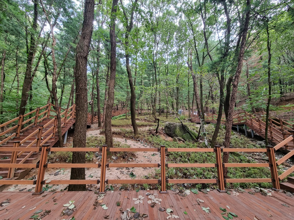 용인특례시, 맨발 산책로 조성