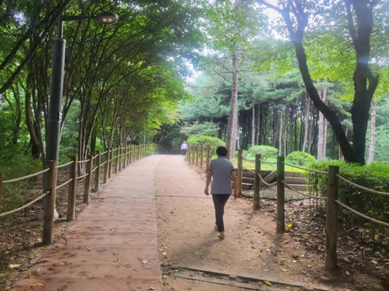 서울 강동구, 벌말근린공원 숲 속 산책로 정비 실시