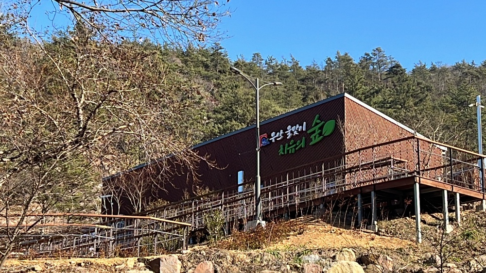 무안 물맞이 치유의 숲에서 힐링 어때요