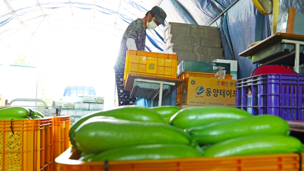 화천군, '농산물 생산 및 유통비용' 지원 나선다