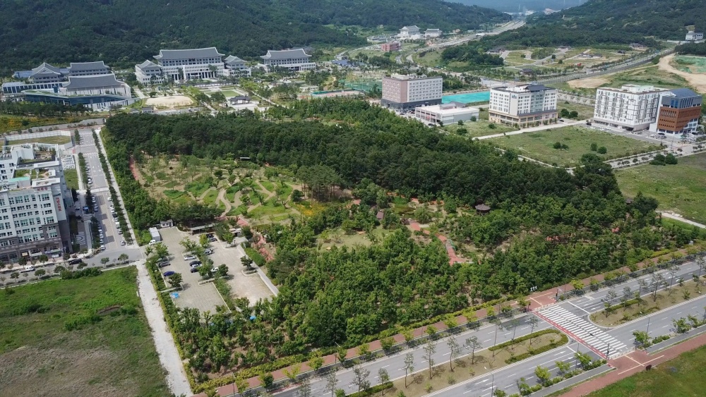 경북도, '천년숲'이 최우수 도시숲으로 선정됐다