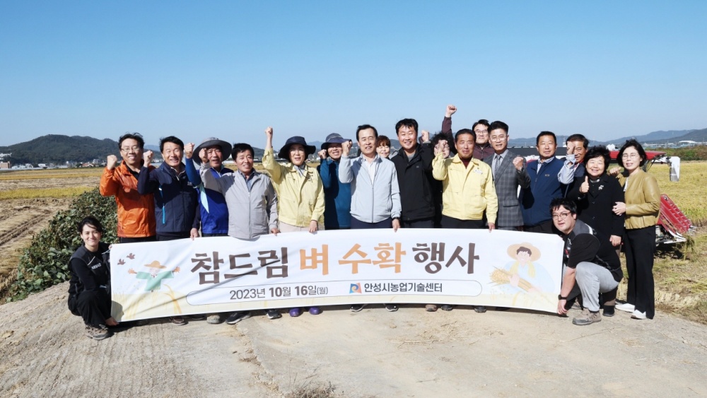 안성시, 쌀 대표 품종 '참드림' 보고가세요!