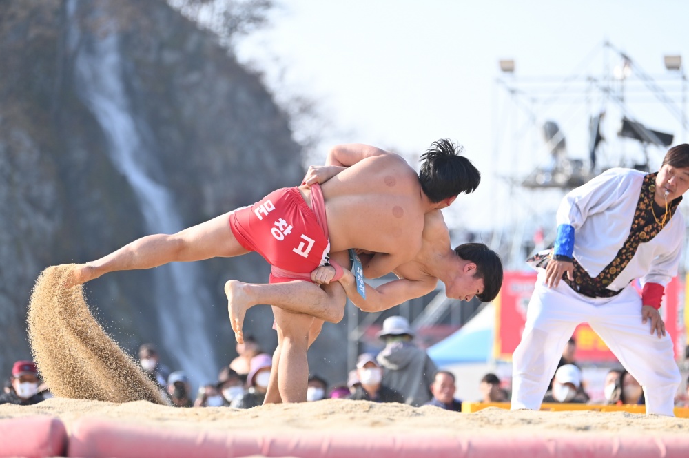 청송군, 스포츠대회로 사과축제 시너지 낸다