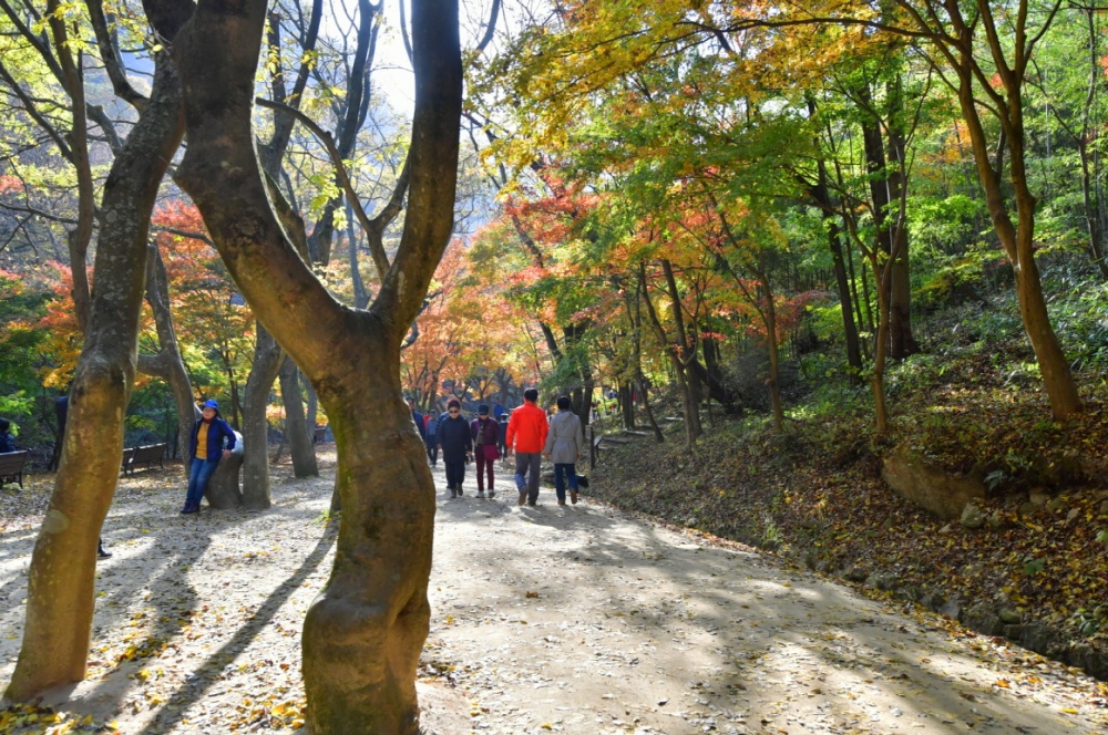 순창군, '강천산' 지역상권에 활력을 불어넣다!