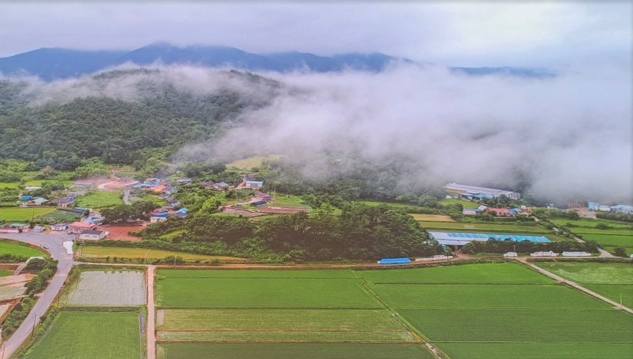전남도, ‘아열대작물’ 최대 생산지로 우뚝