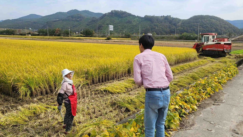 장성군, 고품질 벼 수확 위한 ‘다각도 지원’