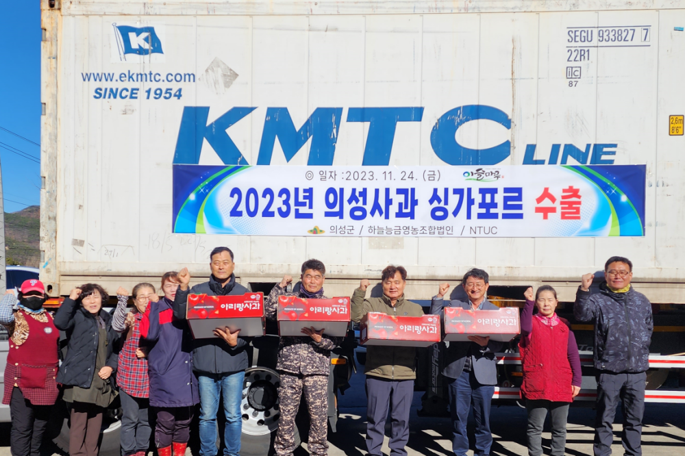 의성군 사과, 싱가포르 첫 수출 실시
