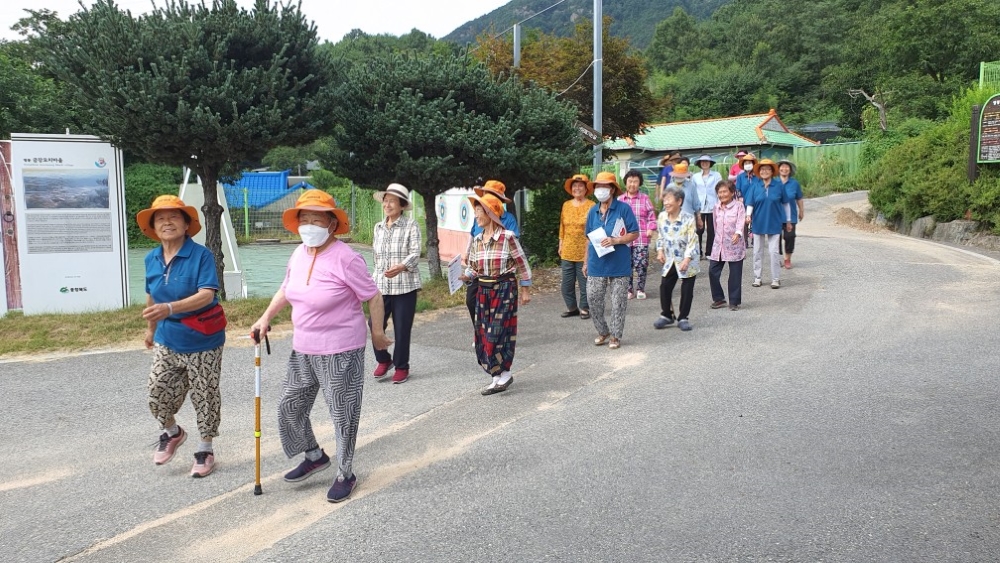 영동군, '건강 100세 행복마을 만들기' 사업 확대... 33개 팀 491명 참여!