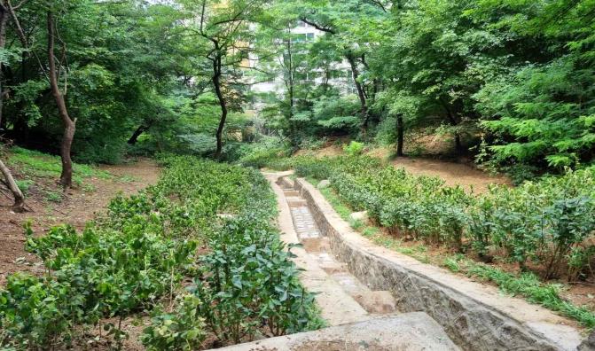 동작구, 산사태 예방 사방사업 추진
