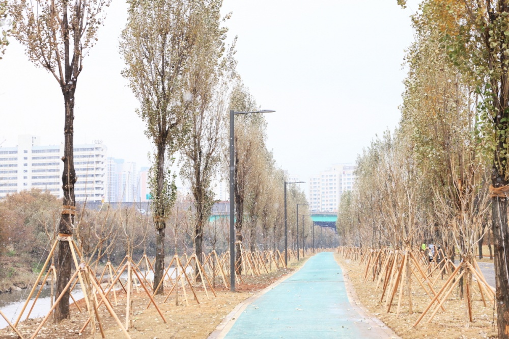 구로구, 도림천 도시숲 조성ㆍ생태복원