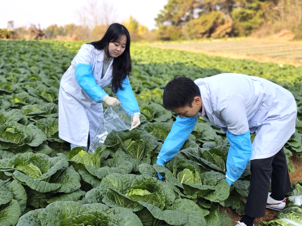 익산시, 12월까지 '농산물 안전분석실' 시범 운영 나선다