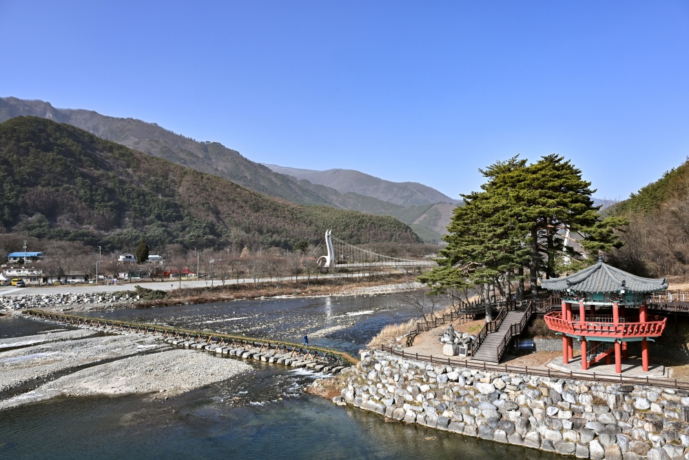 정선군, 아우라지에 솔가지와 흙으로 만든 전통 섶다리 설치