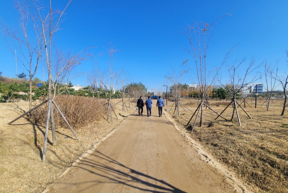 인천 서구, 청라신도시 등 공원 13곳에 맨발걷기 산책로 조성