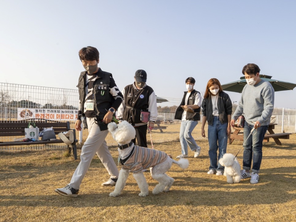 익산시, 반려동물과 같이 살아가는 행복한 도시 조성 나선다