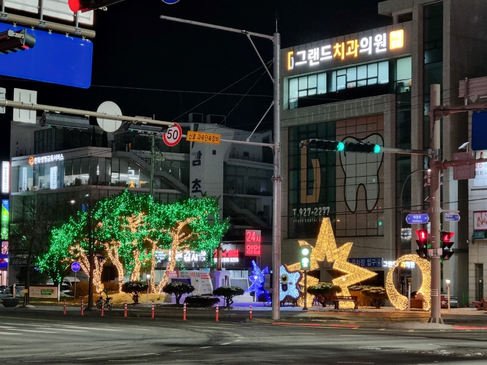 보령시, 동대사거리 녹지대 등 4개소에 '야간경관조명' 운영