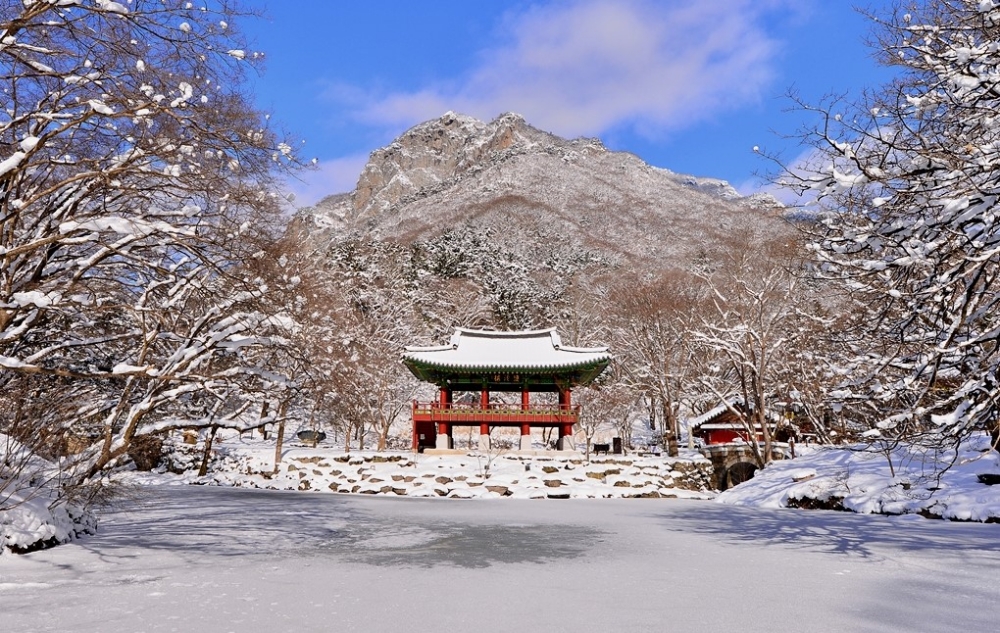 장성호 ‘일출 명소’ 각광… 황룡강, 축령산, 백양사도 강추
