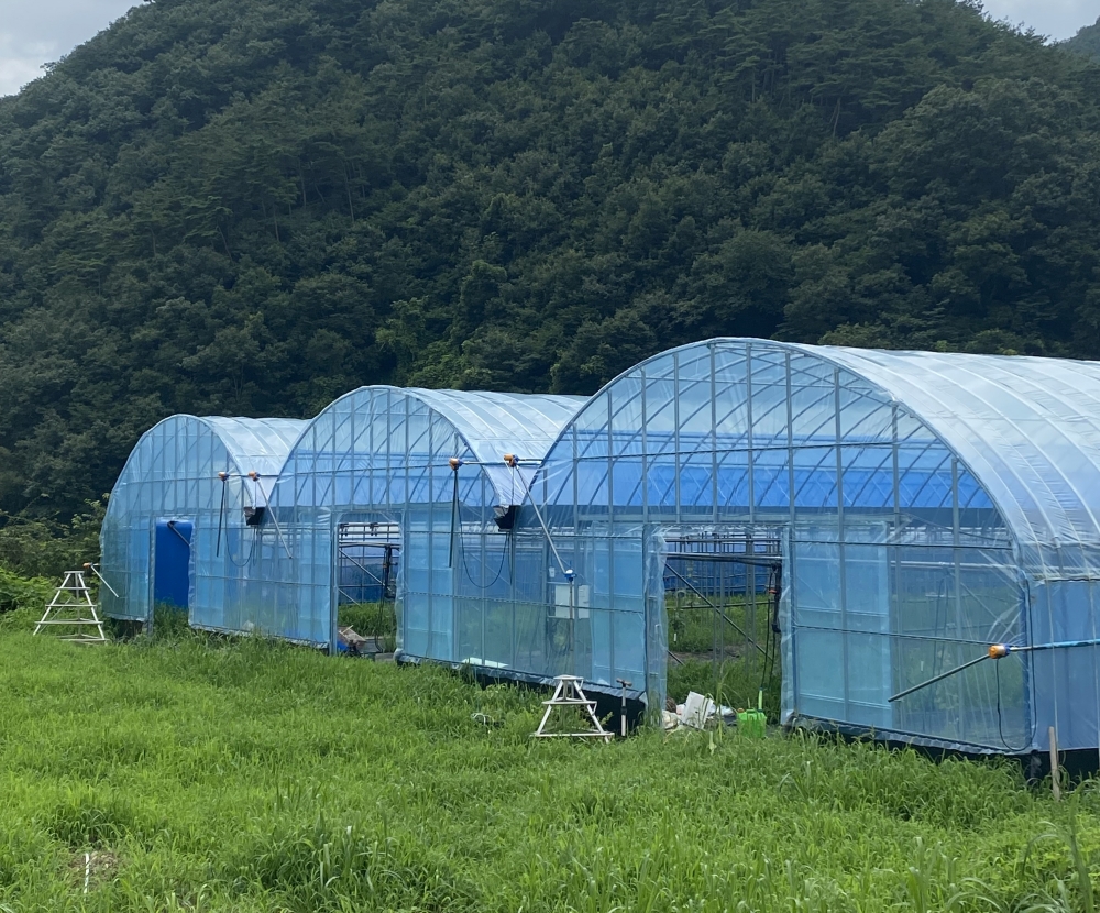 화순군, 중·소규모 원예 농가 현대화 사업 신청 접수...오는 31일까지