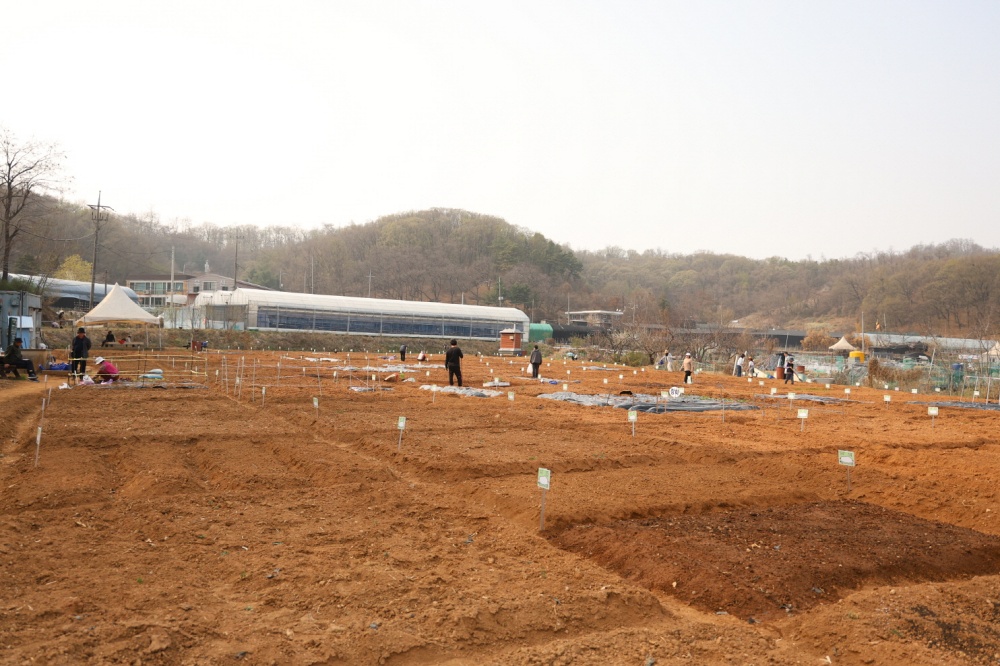 구로구, 2024년 구로구 주말농장 분양