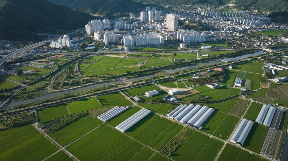 화순군, 2024년 논벼 재배 농가 왕우렁이 공급사업 신청