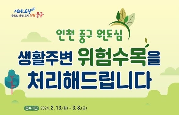 인천 중구, 원도심 생활 주변 위험 수목 대상 처리 지원...3월 8일까지 접수