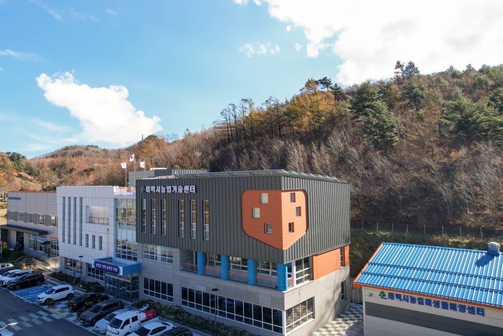 태백시, 2024년 학생승마 지원사업 추진