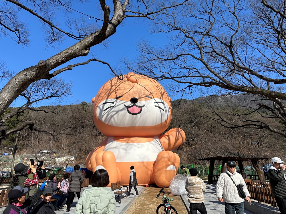 달서구, 젊어진 달서생태녹색관광 봄 프로그램 시행