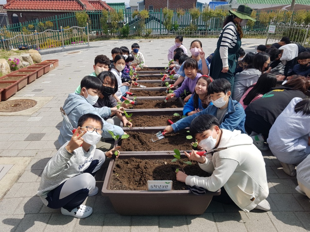 대구 남구청, ‘내일은 도시농부’ 운영