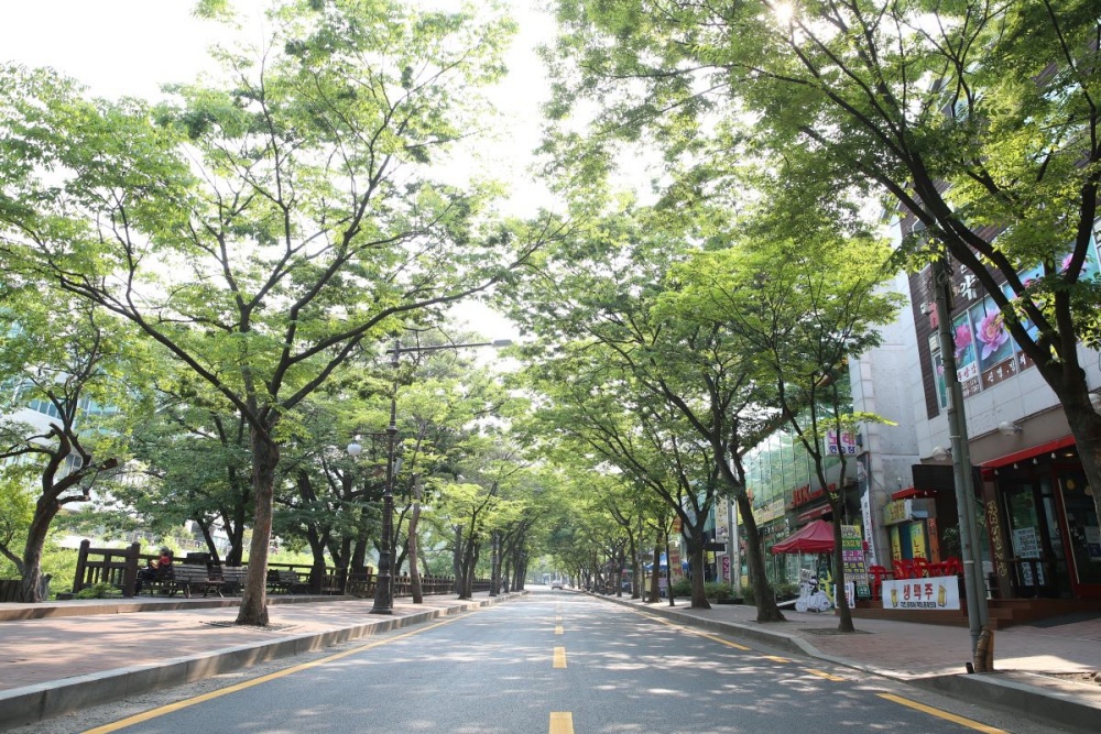 '안양예술공원 더 밝고 안전하게’ 예술공원로 조도 개선