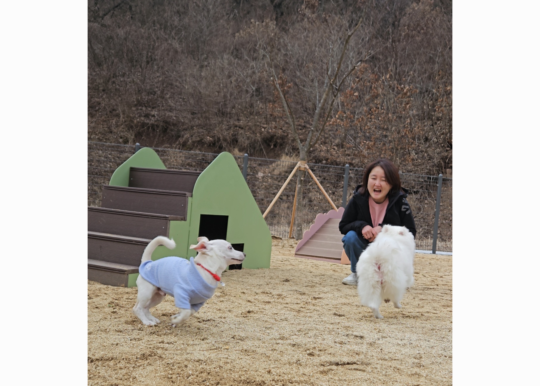영양군, 반려동물 친화 도시로 거듭나