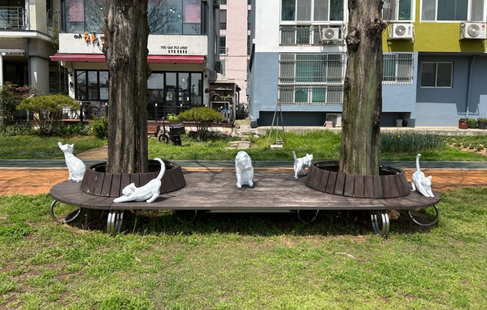 목포시, 개체수 조절 길고양이 중성화 사업 추진