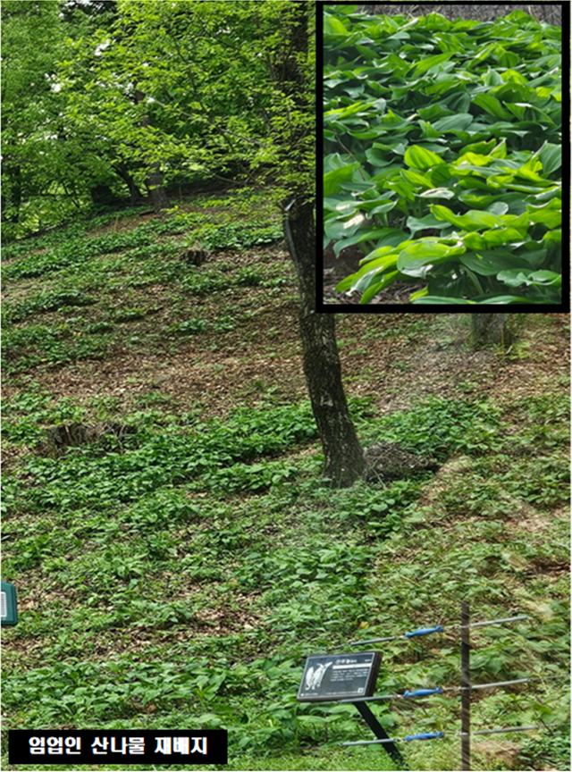 김천시, 2024년 임가 소득 보전을 위한 직불금 신청