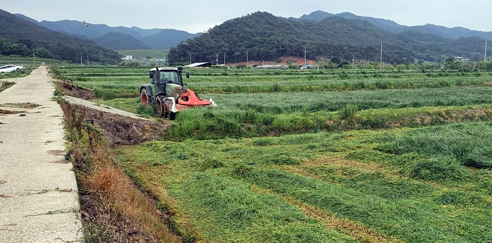 나주시, 조사료 생산비 보전지원 … 3년간 21억원 투입