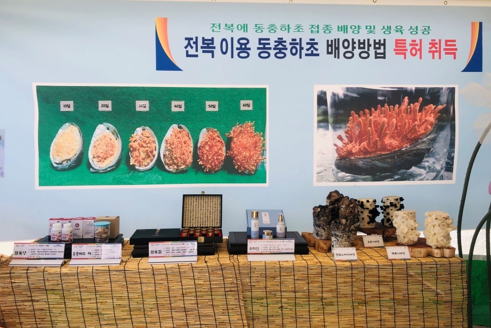 완도군, 버섯 관련 5건 특허 출원·지적 재산권 확보