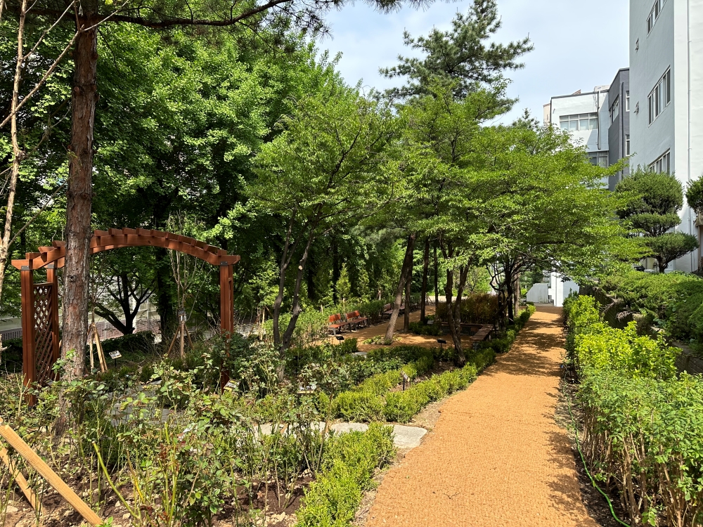 부평구, 명신여자고등학교 내 학교숲 조성 완료