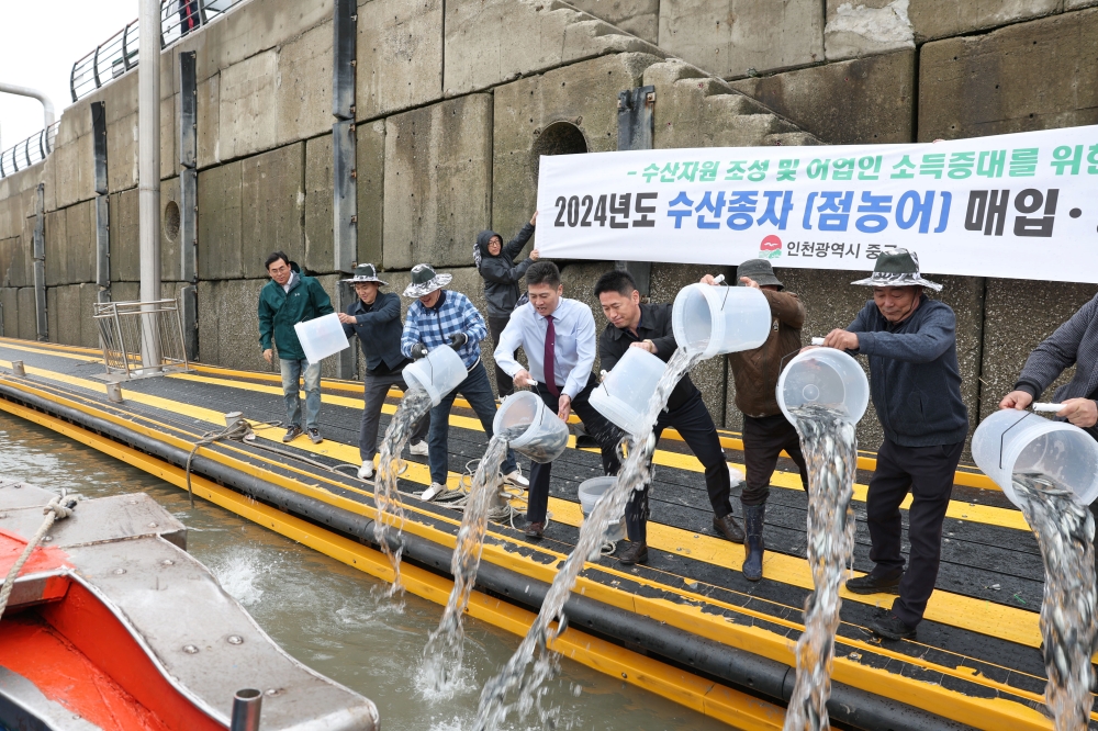인천 중구, 삼목항에 어업인 소득증대를 위한 어린 점농어 38만미 방류