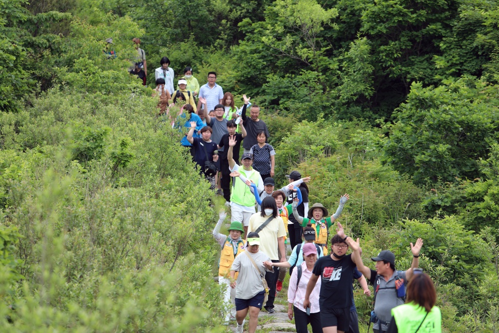 인제 대암산 용늪, 5월 16일부터 생태탐방 재개