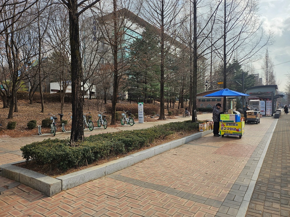 길을 걷다 지친 몸과 마음 힐링… 강동구 치유의 정원