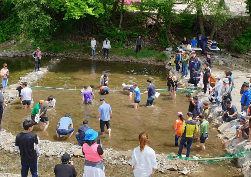 삼척시, 제11회 삼척하장 두타산 산나물축제 개최