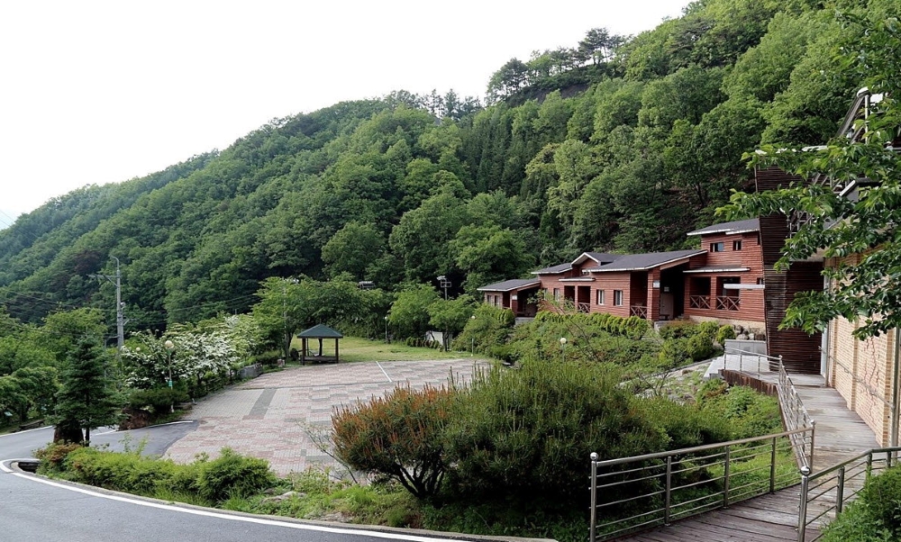 영동군, '민주지산 자연휴양림' 대대적인 요금 할인 나서
