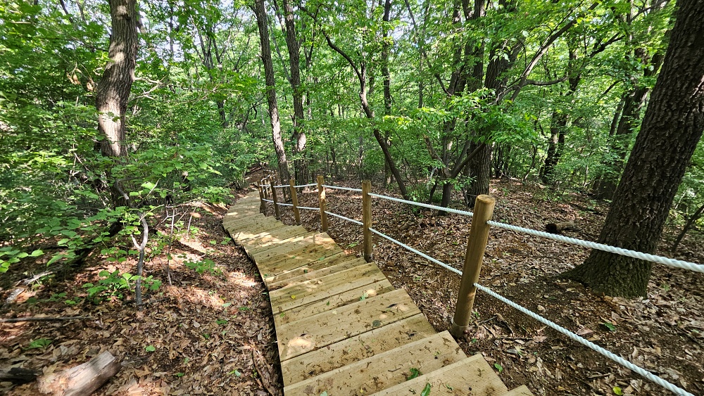 용인특례시, 광교산·선장산 2곳 숲길 정비·신설