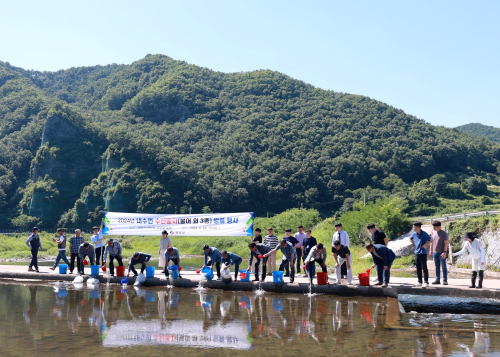 영양군, 어족자원 보전을 위한 수산종자(치어) 방류 행사실시